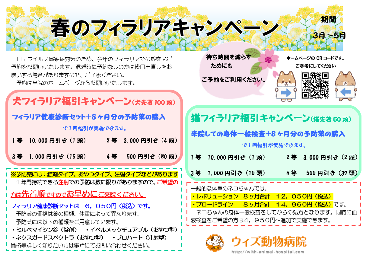 春のフィラリアキャンペーン 犬 猫 その他のお知らせ ウィズ動物病院
